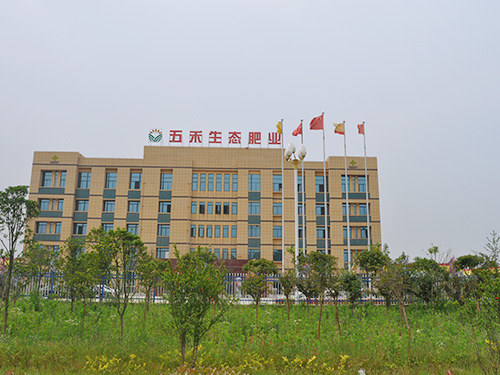 辦公生活區(qū)
